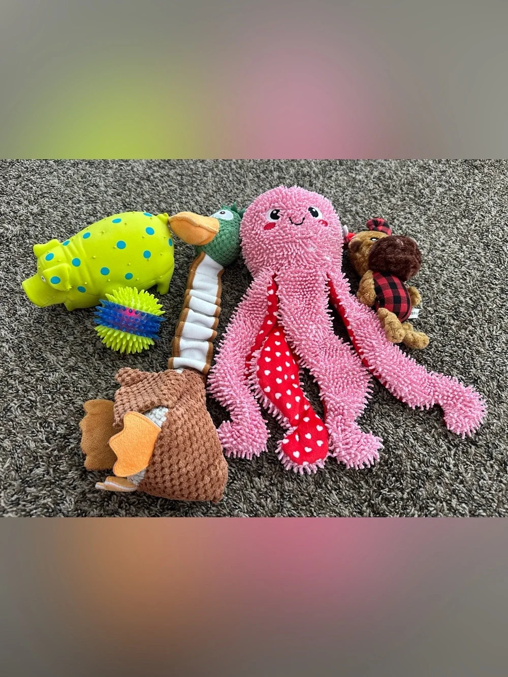 Collection of interactive DOG TOYS